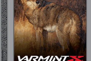 Winchester Ammo X22250PXP Varmint X  22-250Rem 55gr Extreme Point 20 Per Box/10 Case