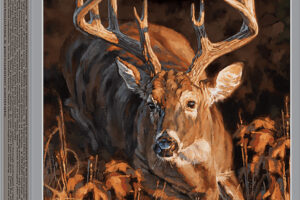Winchester Ammo X7DS Deer Season XP  7mmRemMag 140gr Extreme Point 20 Per Box/10 Case