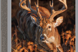 Winchester Ammo X300DS Deer Season XP 300WinMag 150gr Extreme Point 20 Per Box/10 Case