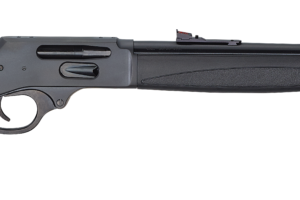 HENRY REPEATING ARMS H9 BEARS LEG 30-30 BL/SY PIST
