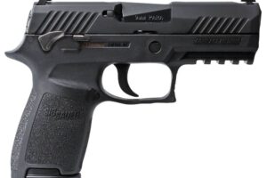 SIG SAUER P320 CMPCT 9MM NIT 15+1 SFTY #
