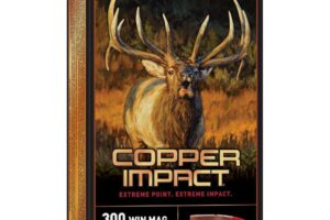 Winchester Copper Impact Rifle Ammunition 300 WSM 180 gr. BT 2900 fps 20/ct