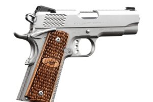 KIMBER STAINLESS PRO RAPTOR II 45ACP
