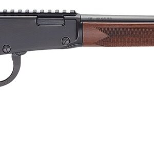 HENRY REPEATING ARMS H1 BANDIT 22MAG BL/WD 18.5" TB