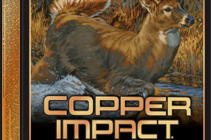 Winchester Ammo X270CLF Copper Impact 270Win 130gr Copper Extreme Point Lead Free 20 Per Box/10 Case