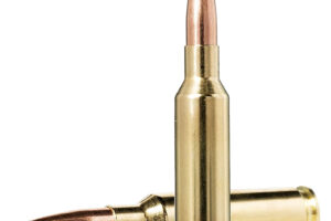 Norma Ammunition 20166402 Dedicated Hunting Bondstrike 6.5Creedmoor 143gr Bonded Polymer Tip 20 Per Box/10 Case
