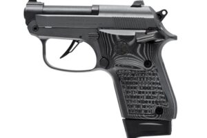 BERETTA 20X BOBCAT 22LR BLK/SILVER