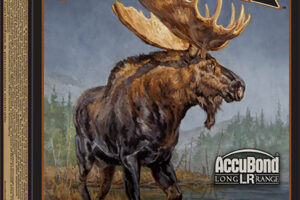 Winchester Ammo S270LR Expedition Big Game Long Range 270Win 150gr Nosler AccuBond Long Range 20 Per Box/10 Case