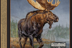 Winchester Ammo S7LR Expedition Big Game Long Range 7mmRemMag 168gr Nosler AccuBond Long Range 20 Per Box/10 Case