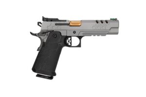 KIMBER 2K11 STAINLESS TGT 9MM 10+1 OR