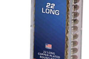 CCI 0029 Target Rimfire 22Long 29gr Copper Plated Round Nose 100 Per Box/50 Case