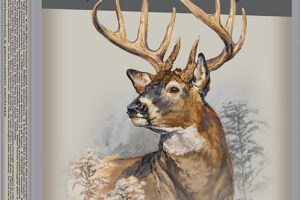 Winchester Ammo X7MMR2 Super X  7mmRemMag 175gr Power Point 20 Per Box/10 Case