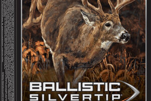 Winchester Ammo SBST3006B Ballistic Silvertip 30-06Springfield 180gr Rapid Controlled Expansion Polymer Tip 20 Per Box/10 Case