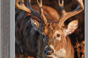 Winchester Ammo X300SDS Deer Season XP 300WSM 150gr Extreme Point 20 Per Box/10 Case