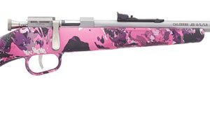 HENRY REPEATING ARMS H5 MINI BOLT G2 22LR SS/MUDDY