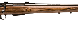SAVAGE ARMS 25LV 223REM BL/LAM DBM