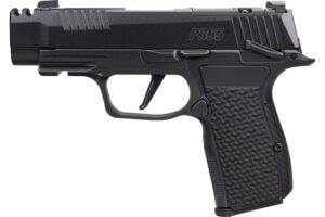SIG SAUER P365 AXG LUXE 380ACP MS CA