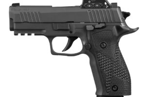 SIG SAUER P226X DA/SA 3.8" 9MM 10+1