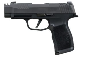SIG SAUER P365-XL COMP 380ACP BK 12+1 MS