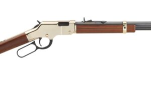 HENRY REPEATING ARMS H4 GOLDEN BOY 22MAG BL/WD