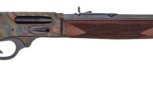 HENRY REPEATING ARMS H10 COLOR CASE 45-70 22"