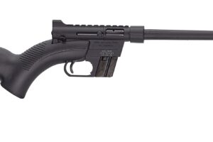 HENRY REPEATING ARMS H2 US SURVIVAL RIFLE 22LR BLK