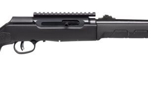 SAVAGE ARMS A22 TAKEDOWN 22LR BL/SY 10+1
