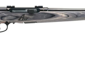 SAVAGE ARMS A17 SPORTER 17WSM BL/LAM 22"