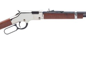 HENRY REPEATING ARMS H4 GOLDEN BOY SILVER 22MAG