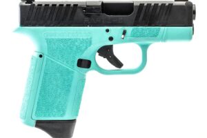 GForce Arms GF9 Rapture Subcompact OR Handgun 9mm Luger 12rd Magazine 3.25" Barrel Robin's Egg Frame Black Slide