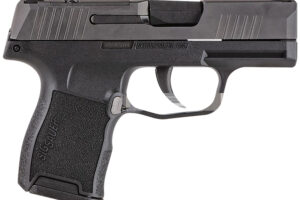 SIG SAUER P365 380ACP BLK 10+1 NS