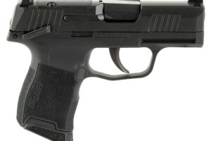 SIG SAUER P365 380ACP BLK 10+1 NS SFTY