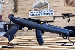 Ruger 22 Charger