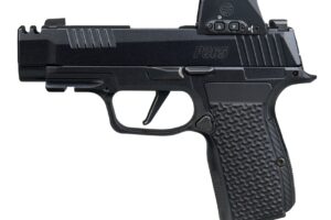 SIG SAUER P365 AXG LUXE 380ACP 12+1 ROMX
