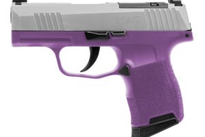 SIG SAUER P365 9MM NIT 10+1 XRAY SS/PUR