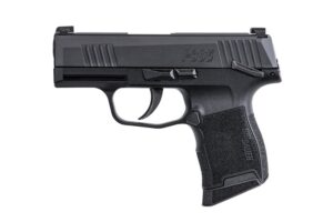 SIG SAUER P365 380ACP BLK 10+1 NS MS MA