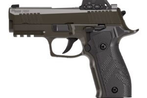 SIG SAUER P226X LEG 3.8" 9MM 18+1 ROMEOX