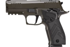 SIG SAUER P226X LEG SAO 3.8" 9MM 10+1 OR
