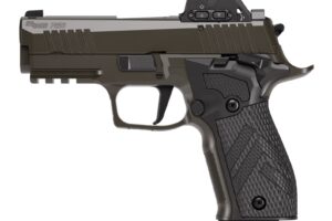 SIG SAUER P226X LEG SAO 3.8" 9MM ROMEOX
