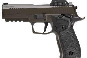 SIG SAUER P226X LEG SAO 9MM 18+1 ROMEOX