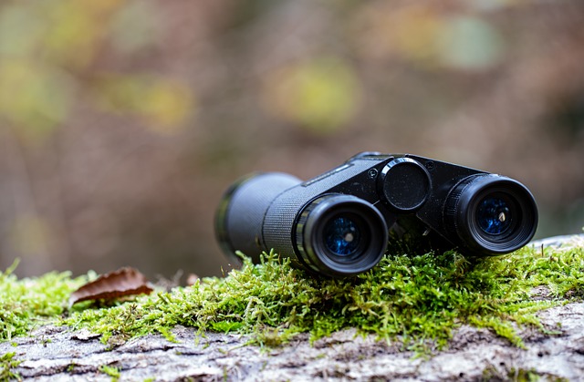 Binocular Image