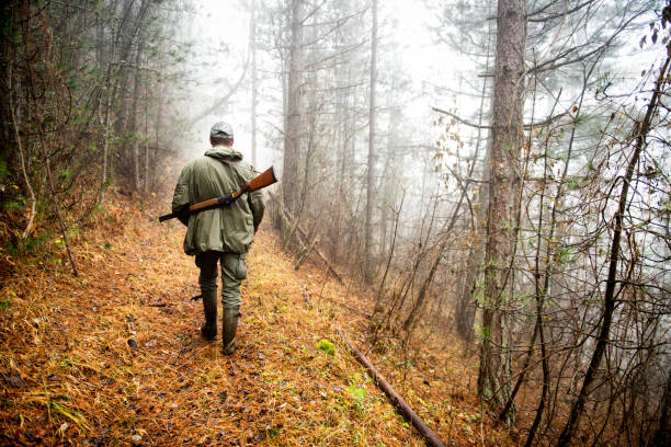 Back view of a hunter with rifle walking up the hill in the forest.